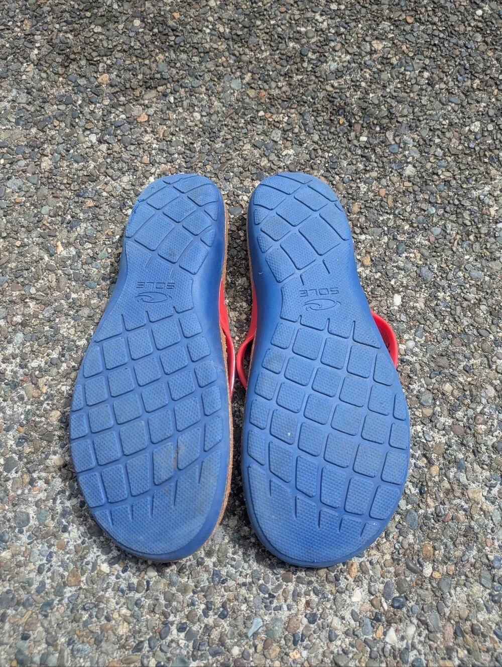 Sole Venice Recycled Cork Flip Flops